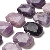 Natural Lepidolite Beads Strands G-H078-B14-01-1