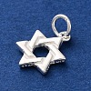 925 Sterling Silver Star of David Charms STER-G045-13S-2