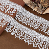 5Yards Polyester Lace Ribbon OCOR-NB0002-64A-4