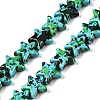 Spray Painted Synthetic Turquoise Beads Strands UNKW-T001-11B-4