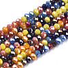 Electroplate Glass Beads Strands EGLA-S192-001A-B04-1