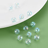 Transparent Acrylic Beads LS-MACR-S373-64-C04-6