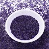 MIYUKI Delica Beads X-SEED-J020-DB0609-2
