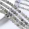 Natural Labradorite Round Beads Strands X-G-S158-6mm-4