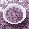 MIYUKI Delica Beads SEED-X0054-DB0800-3