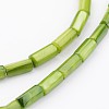 Natural Shell Bead Strands X-BSHE-P016-16-3