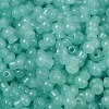 Transparent Colours Glass Seed Beads SEED-R001-01Q-2