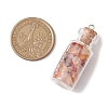 10Pcs 10 Styles Glass Bottle Pendants PALLOY-JF02875-2