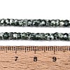 Natural Green Spot Jasper Beads Strands G-Q606-46A-07-5