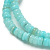 Dyed Natural Freshwater Shell Beads Strands X1-BSHE-G039-07C-3