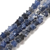 Natural Sodalite Beads Strands G-G085-B18-01-1