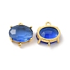 Transparent Glass Connector Charms KK-H438-09G-3