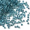 Cylinder Glass Seed Beads GLAA-NH0005-01K-1