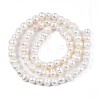 Natural Cultured Freshwater Pearl Beads Strands LS-PEAR-N013-04A-3
