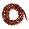 Natural Garnet Beads Strands X-G-P457-B01-18A-3
