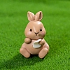 Resin Rabbit Miniature Ornaments PW-WGF87E4-01-1