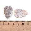 Natural Freshwater Shell Carved Pendants SHEL-N036-18-3