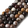 Natural Mexico Crazy Agate Beads Strands G-L615-A01-01-8