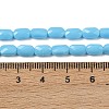 Opaque Glass Beads Strands GLAA-Z018-D20-4