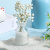 Transparent Electroplate Crushed Glass Craft GLAA-SC0001-98A-01-4