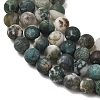 Natural Tree Agate Beads Strands X-G-T106-038-6