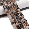 Natural Dragon Veins Agate Beads Strands G-G177-E09-01-1