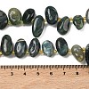 Natural Moss Agate Beads Strands G-P604-A11-01-3