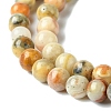 Natural Crazy Lace Agate Round Bead Strands G-E334-4mm-20-4