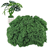 Polyester Artificial Moss DIY-CN0003-92A-1