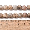 Natural Feldspar Bead Strands G-P295-06-8mm-10