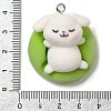 Flocking Resin Sleeping Pendants RESI-D072-02D-3