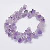 Natural Amethyst Beads Strands G-G697-D06-2