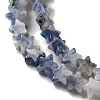 Natural Blue Spot Jasper Beads Strands G-G085-B41-02-3