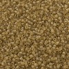 MIYUKI Delica Beads SEED-MY11-DB0771-3