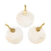 Natural Freshwater Shell Carved Pendants PALLOY-JF05825-1