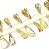 AB Color Plated Dyed Natural Freshwater Shell Beads Strands X-SHEL-T020-55D-1
