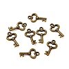Gifts Ideas for Her Tibetan Style Alloy Charms LS-MLF11975Y-NF-3