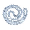 Electroplate Glass Beads Strand X-EGLA-S188-17-A02-2