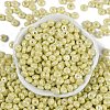 Opaque Colours Luster Glass Seed Beads SEED-P008-01C-08-3