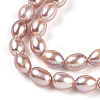 Natural Cultured Freshwater Pearl Beads Strands PEAR-N012-AA-03-4