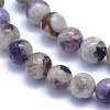 Natural Chevron Amethyst Beads Strands G-L552H-06A-3
