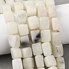 Natural White African Opal Beads Strands G-D098-D04-02-1