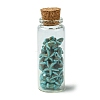 2Pcs Transparent Glass Wishing Bottle Decoration PALLOY-JF03374-4