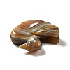 Natural Brazilian Agate Display Decorations DJEW-A008-07-4