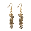 Natural Labradorite Chip Beaded Dangle Earrings EJEW-JE04788-04-1