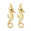 Eco-Friendly Brass Pendants KK-C221-04G-1