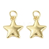 Brass Pendants KK-L231-14G-1