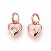 Brass Micro Pave Cubic Zirconia Charms ZIRC-F095-04-3