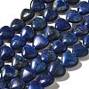 Natural Lapis Lazuli Beads Strands G-R190-10mm-54A-2