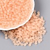 FGB Frosted Transparent Glass Seed Beads SEED-N013-02A-03-1
